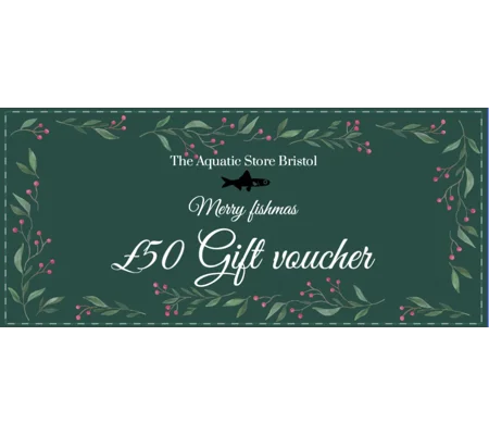 £50 Christmas instore gift voucher