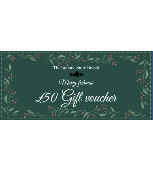 £50 Christmas instore gift voucher