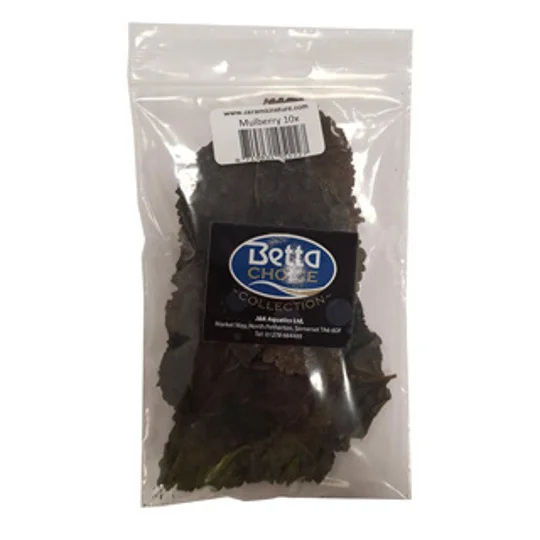 BETTA CHOICE MULBERRY LEAVES X 10