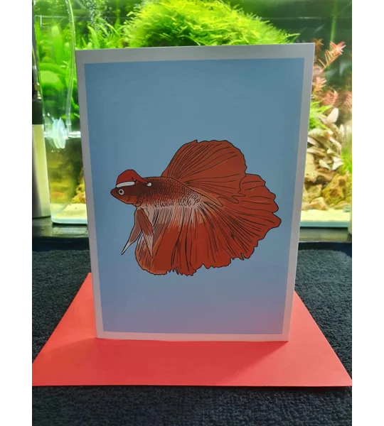 Betta Christmas card