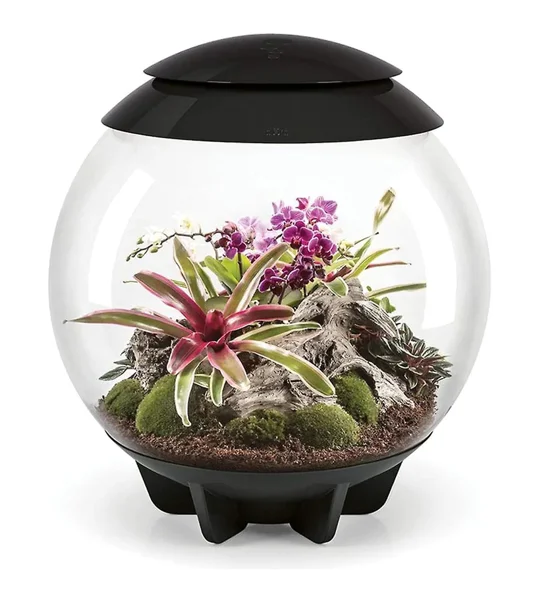 BiOrb Air 60L Black LED Terrarium