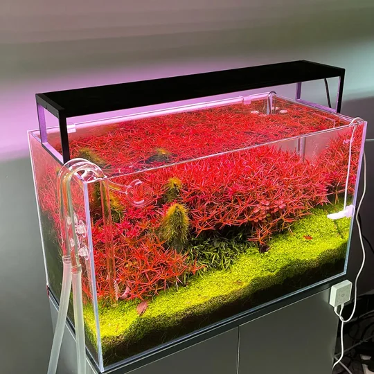 Chihiros WRGBII SLIM EDITION 90cm