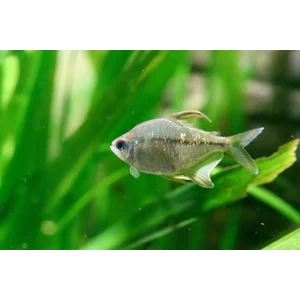 Water Care & Maintenance