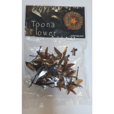 Natural Collection Toona Flowers