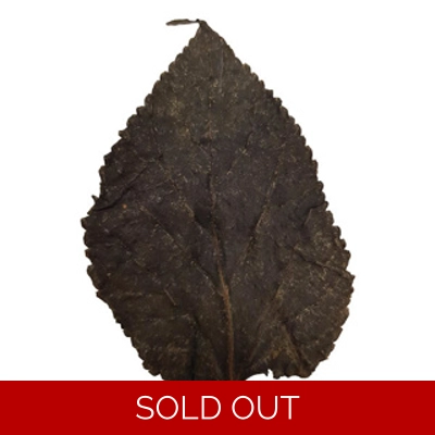 BETTA CHOICE MULBERRY LEAVES X 10