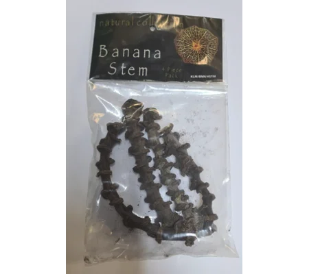 Natural Collection Banana Stem