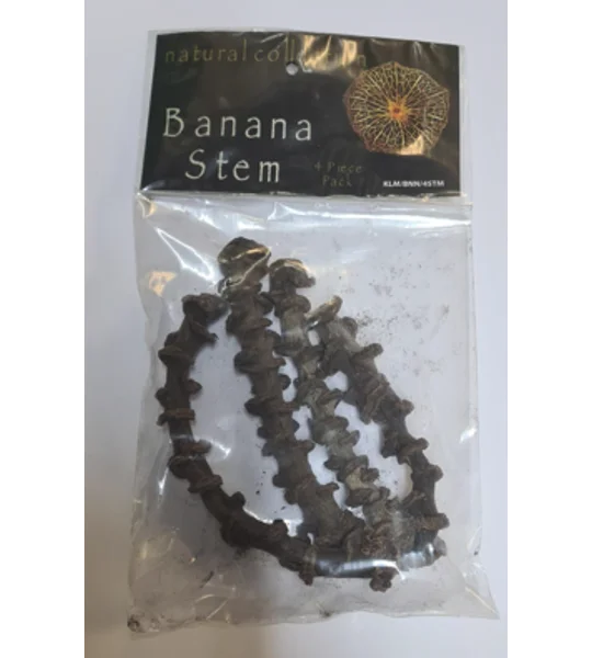 Natural Collection Banana Stem