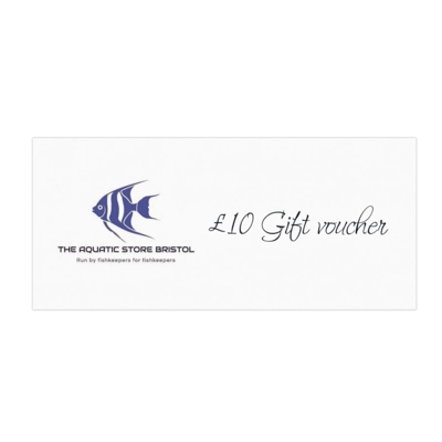 £10 instore gift voucher