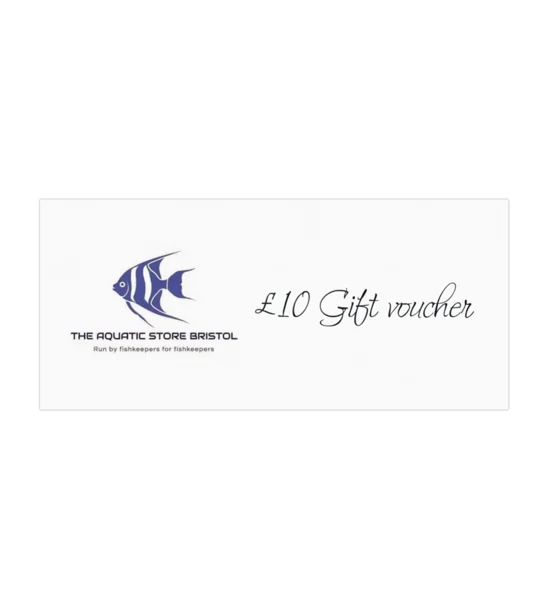 £10 instore gift voucher