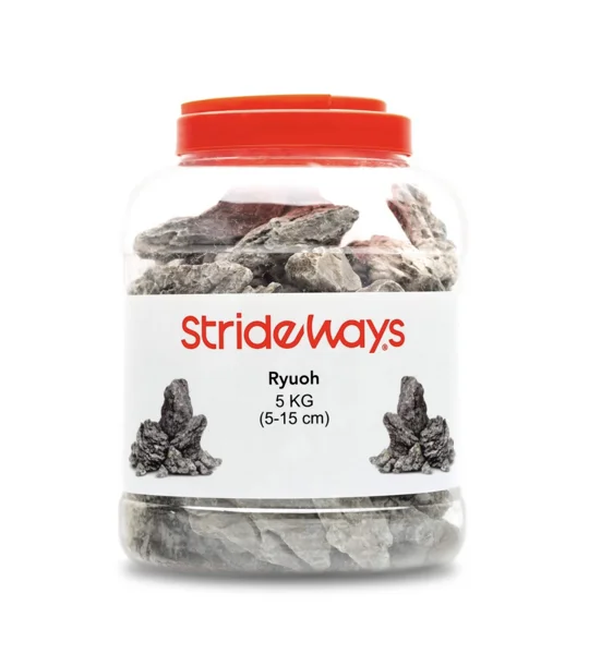 Strideways Geo Stone Bottle 5kg