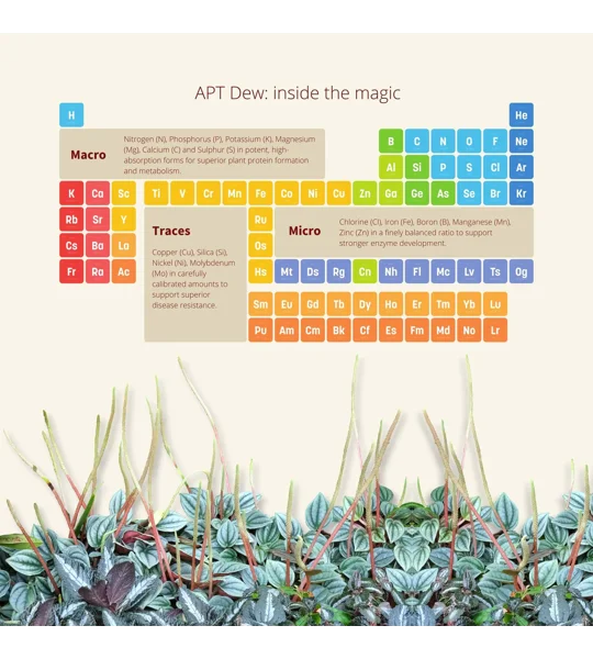 2Hr APT Dew 100ml