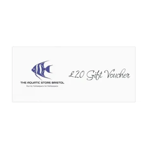 Gifts & Vouchers