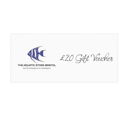£20 instore Gift voucher
