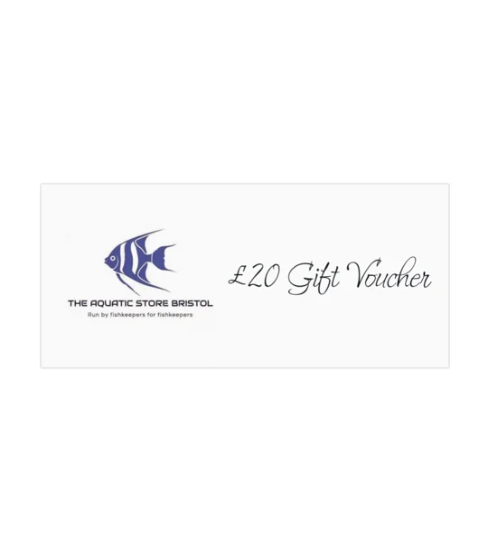 £20 instore Gift voucher
