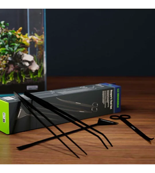 DENNERLE SCAPER'S TOOL SET