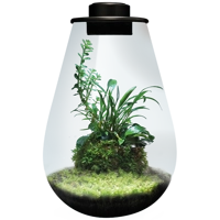 Superfish BioArt Drop Terrarium 285mm