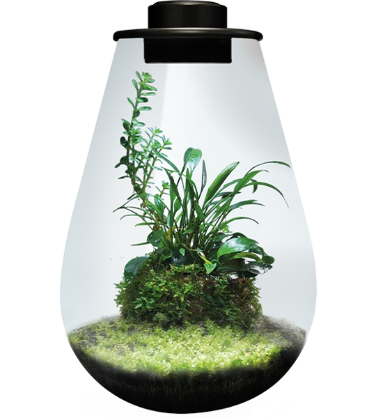 Superfish BioArt Drop Terrarium 285mm