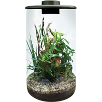 Superfish BioArt Cylinder Terrarium 285mm
