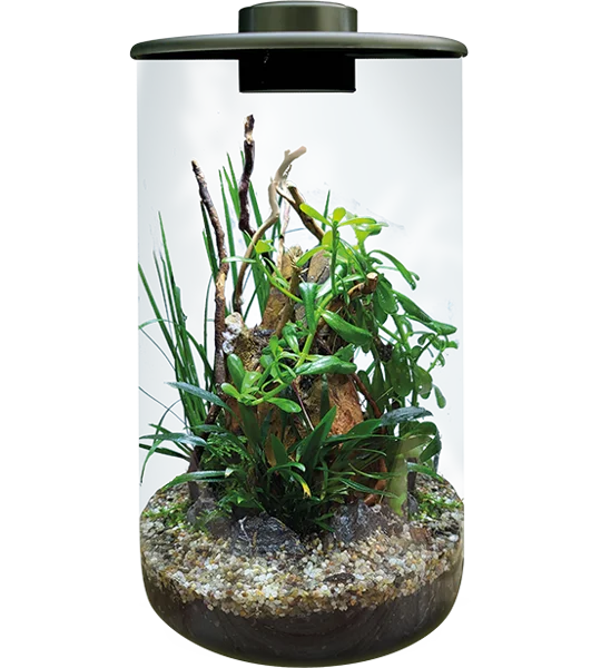 Superfish BioArt Cylinder Terrarium 285mm