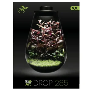 BioArt Terrariums and plant packs