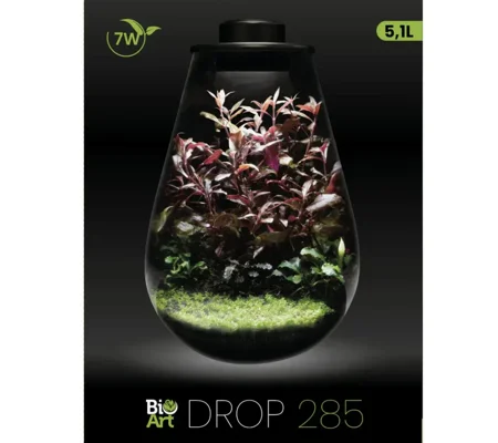 Superfish BioArt Drop Terrarium 285mm
