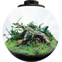 Superfish BioArt Bowl Terrarium Black 225mm