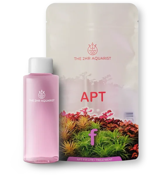 2Hr APTfl Fixlite 100ml