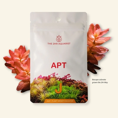 2Hr Aquarist APT Jazz 18 pack