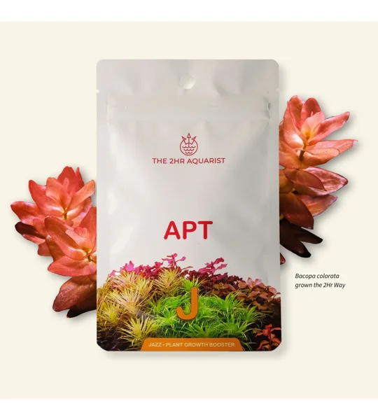 2Hr Aquarist APT Jazz 18 pack