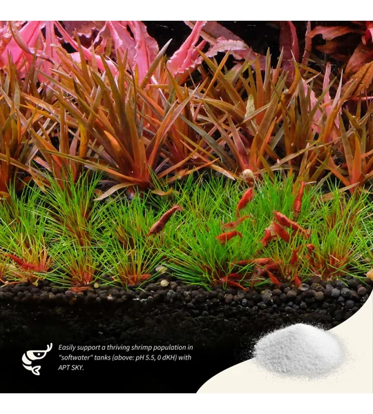 2Hr Aquarist APT SKY 150g