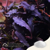 2Hr Aquarist APT SKY 150g