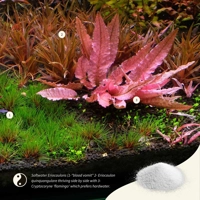 2Hr Aquarist APT SKY 150g