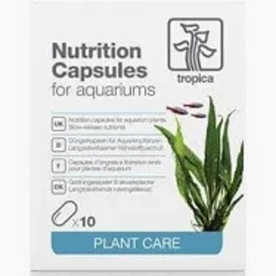 Tropica Nutrition Capsules x10