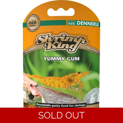 Shrimp King Yummy Gum Putty 50g Shrimp King Yummy Gum Putty 50g