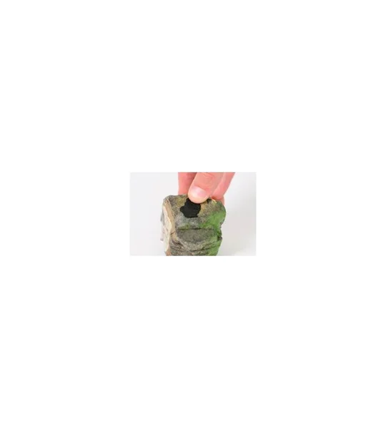 Shrimp King Yummy Gum Putty 50g