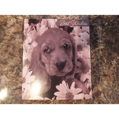 BEST WISHES CARD WITH PUPPY & DAISIES BLANK INSIDE BEST WISHES CARD WITH PUPPY & DAISIES BLANK INSIDE
