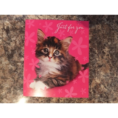 JUST FOR YOU GREETINGS CARD WITH KITTEN BLANK INSIDE JUST FOR YOU GREETINGS CARD WITH KITTEN BLANK INSIDE