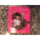 JUST FOR YOU GREETINGS CARD WITH KITTEN BLANK IN..