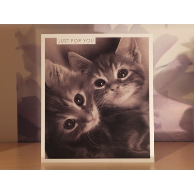 JUST FOR YOU CARD BLANK INSIDE FOR OWN MESSAGE 2 x KITTENS JUST FOR YOU CARD BLANK INSIDE FOR OWN MESSAGE 2 x KITTENS
