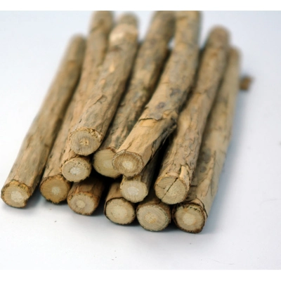 RARE JAPANESE MATATABI CHEW / PLAY STICKS FOR CATS