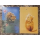 GINGER KITTEN / CAT WITH BEE GREETINGS CARD BLAN..