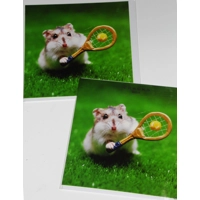 HAMSTER PLAYING TENNIS GREETINGS ..