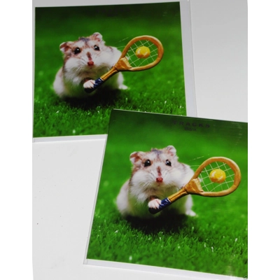HAMSTER PLAYING TENNIS GREETINGS CARD BLANK INSIDE HAMSTER PLAYING TENNIS GREETINGS CARD BLANK INSIDE