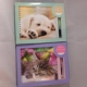 * Birthday & A-Z Address Book Gift Set * with Pe..
