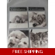 Pk 8 Large Notecards * Choose Cute Puppies or Cu..