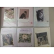 Birthday Card *Kittens * Choice of Designs *