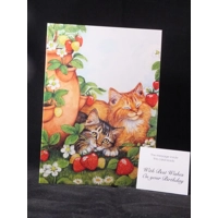 With Best Wishes On your Birthday..