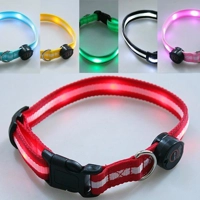 LARGE STRIPED LED FLASHING COLLAR