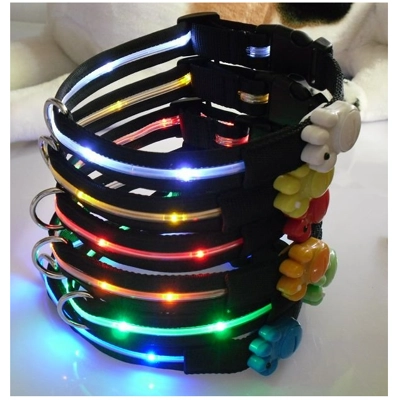LED Flashing Collar 'PAWS'