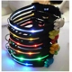 DCO-18 LED Flashing Collar 'PAWS'